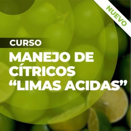 curso-manejo-de-citricos-limas-acidas-agroteach-agroclick-capacitaciones-agricolas Curso Manejo de Citricos Limas Acidas