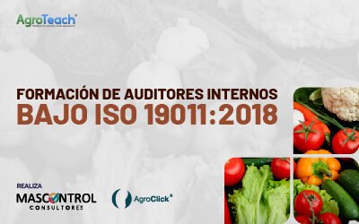 Formación de auditores internos bajo ISO 19011:2018